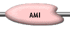 AMI