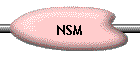 NSM