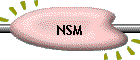 NSM