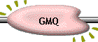 GMQ